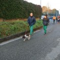 Caricamento in corso...